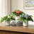 Uttermost Trilogy Primrose Accents In Vases Set/3
