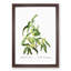 Russian Olive Tree Flowers by Pierre-Joseph Redoute - Picture Frame Painting Print-55613389-55613393