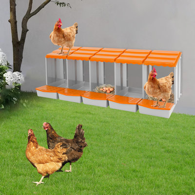 Boîte de nidification à 5 compartiments pour poulets