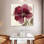 Harnek Crimson Peony II