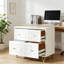 Classeur multifonctionnel, classeur de style nordique