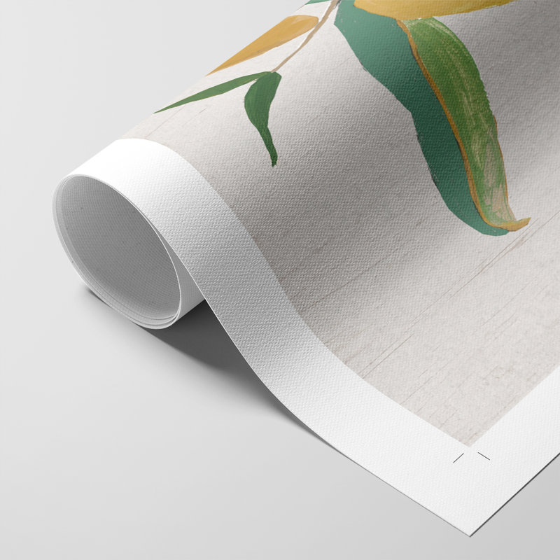 Touched with Sage I - Impression sur toile seulement - NON CADRE, H 12 po x l 8 po