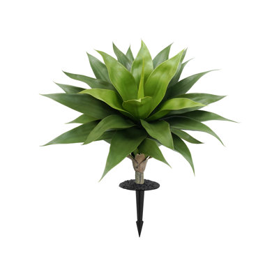 Agave artificielle