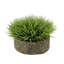 Gazon artificiel 8 po dans un panier-1972723836-1941322100-1972723837