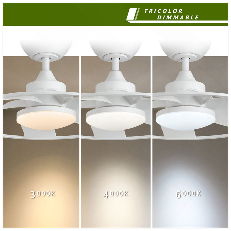 Light Pro In. Ventilateur de plafond DEL d'intérieur avec moteur à courant continu