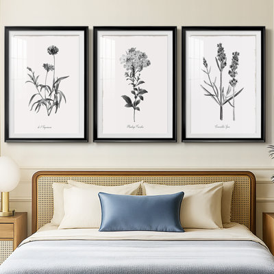 Simply Imperial  -Custom Framed  Premium Print W Matt - 3 Pieces