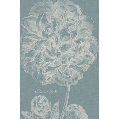 Graceful Peony II 1 Piece Wrapped Canvas Wall Art
