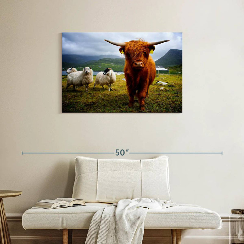 Brampt Highland Cow and Friends, H 24 po x l 36 po