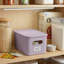 Panier en plastique nervuré-73493665-73493668-101829634