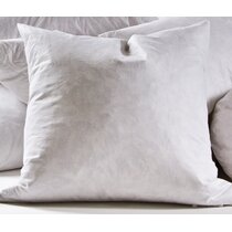  ReynosoHomeDecor 18x24 Pillow Insert Form : Home & Kitchen