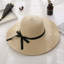 Chapeau de paille-92487905