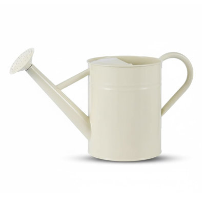 Metal Watering Can with Removable Spout, Galvanized 1 gal., Perfect for Indoor & Outdoor Use (Yellow)