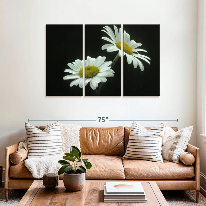 Harnek Leucanthemum Vulgare Large Daisy, 36" H x 57" W