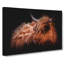Highland Cow In The Shadows - Wrapped Canvas Painting-55359988
