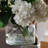 Clear Bloom Vase-131506501