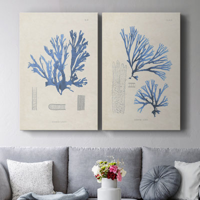 Blue Marine Algae IX-Premium Gallery Wrapped Canvas -Ready to Hang