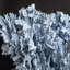 Genuine Blue Ridge Coral (16", 18.5 Lbs)