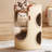 2 Tiers Cat Tree with Condons,Perch,Scratching Posts