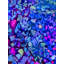 Painted Rocks par Drew Gaffney-1949201250