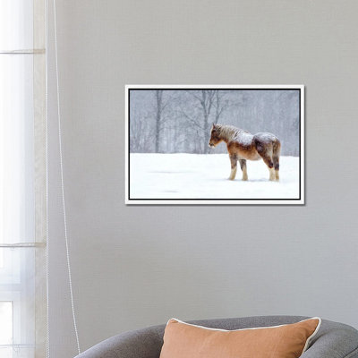 Stoic 1 Piece Wall Art on Canvas