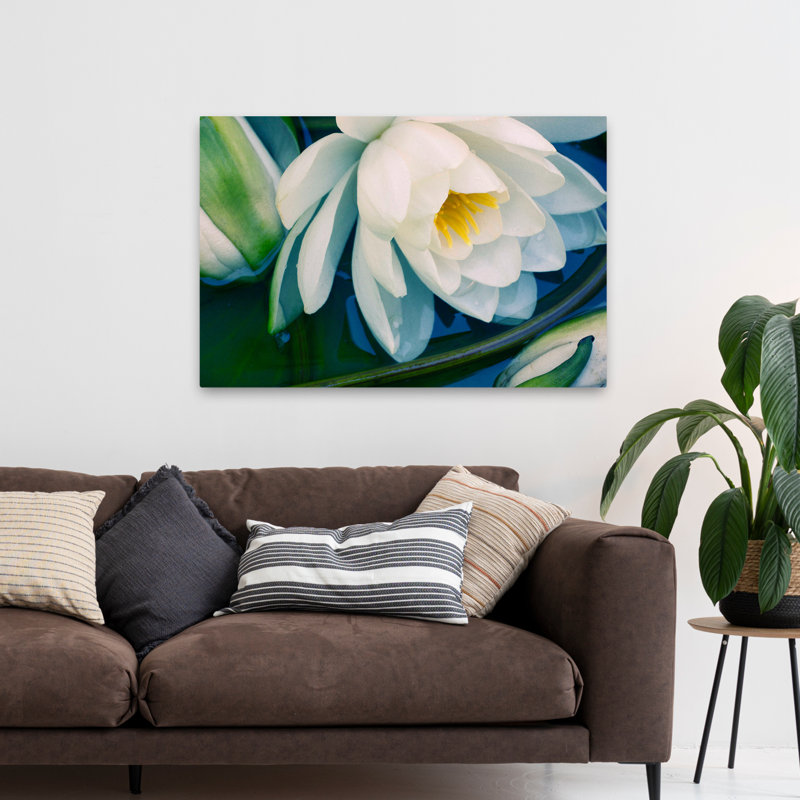 «Plants, Flowers, Calico», impression sur demande, H 32 po x l 48 po