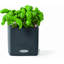 Cube Pot Planter-16493164
