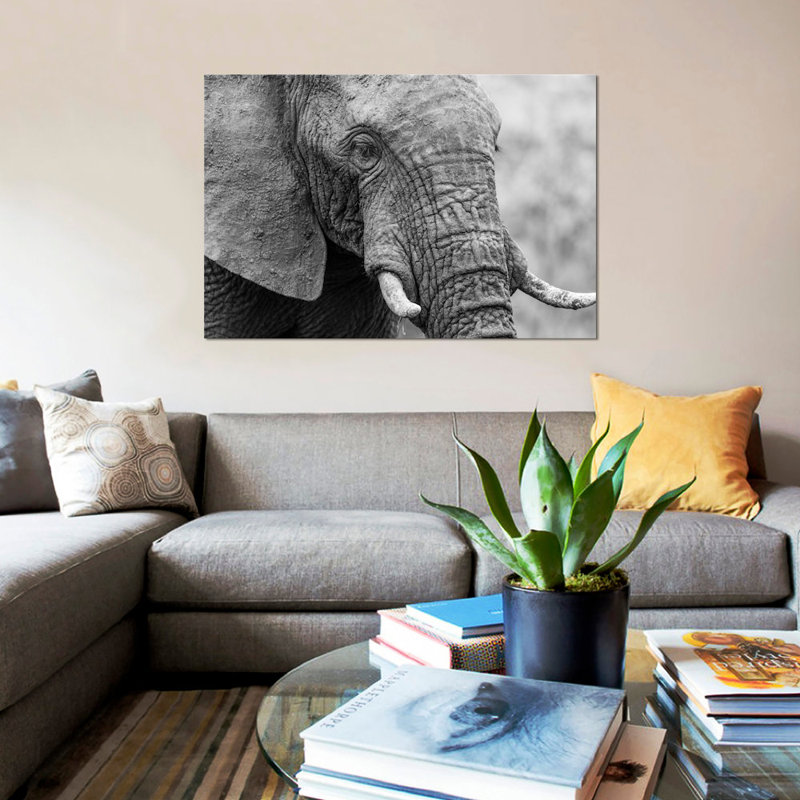 « couch éléphant », reproduction de photo sur toile, H 12 po x l 18 po x P 1,5 po, Toile tendue, Pas de tapis