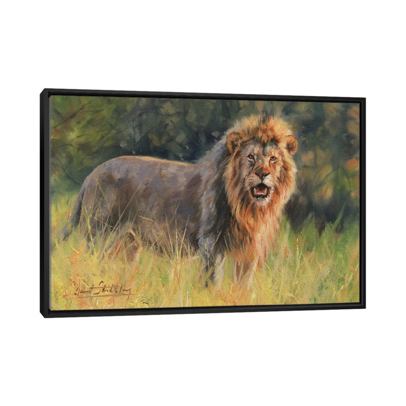« lion evening light », impression sur toile, H 18 po x l 26 po x P 1,5 po, Toile avec cadre noir, Pas de tapis