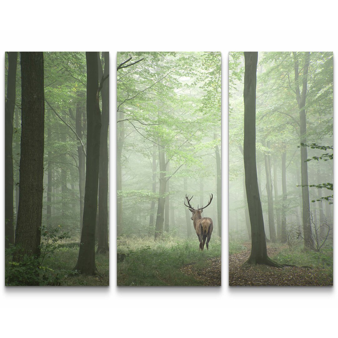 3-tlg. Leinwandbilder-Set Hirsch im Wald