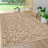 Hagerman Vintage Filigree Textured Weave Beige/Brown Indoor/Outdoor Rug-1409636606