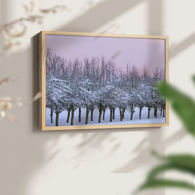 Winter's Beauty -Framed Print - Restickable