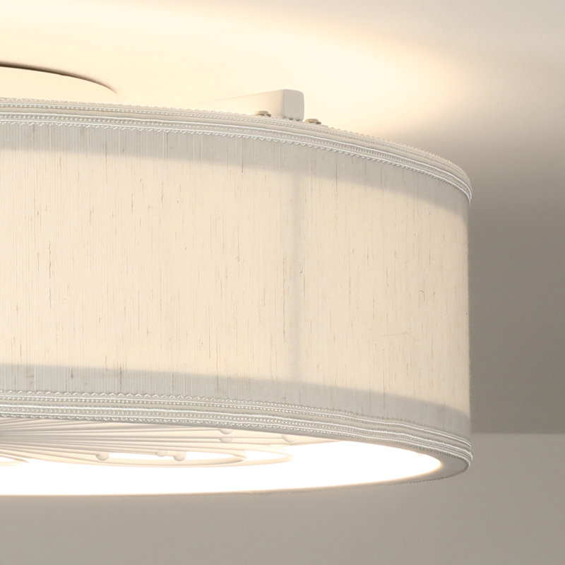 19.6'' Ceiling Fan with Light Kit and Remote Control Included