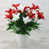 Rouge / Blanc
