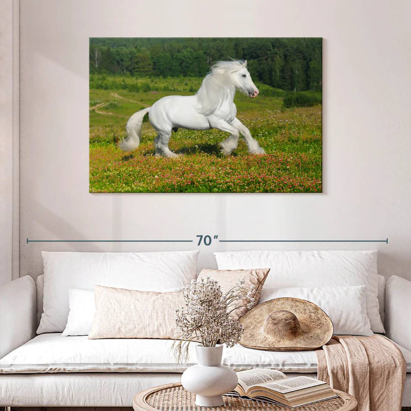 Bramire Shire cheval dans la prairie