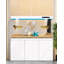 Aquarium Arowana-806831878