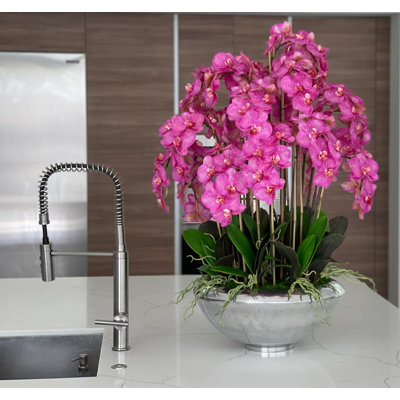 Plusieurs tiges d'orchidée phalaenopsis en pot de fleurs