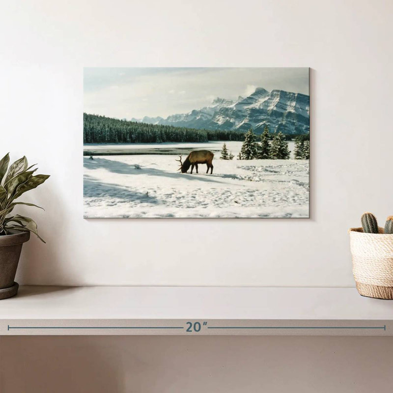 Brampt Banff Bull Elk, 8" H x 12" W