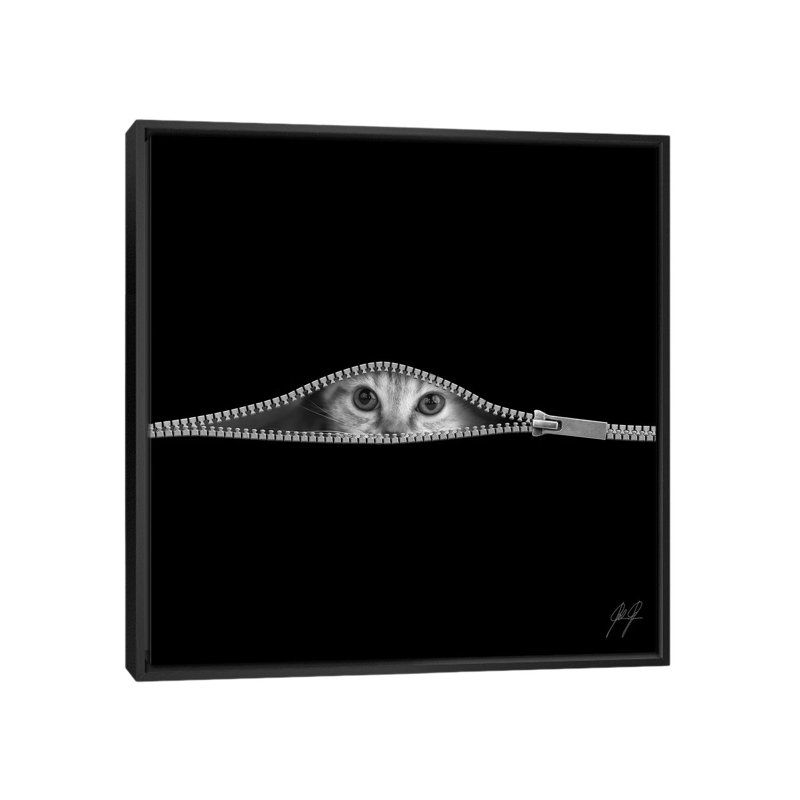 «The Timid» par Kathrin Federer - reproduction de photo, Aucun mat, H 26 po x l 26 po x P 1,5 po, Toile avec cadre noir