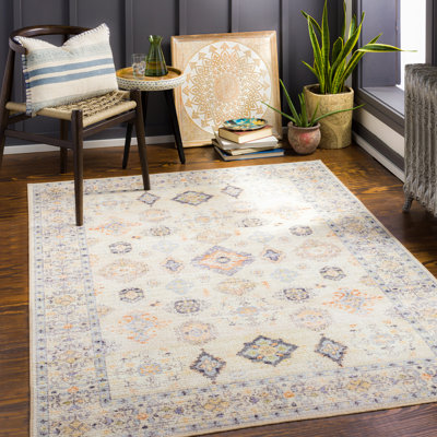 Emmie Oriental Beige/Olive/Denim/Charcoal/Sage Area Rug