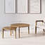 Ensemble de 2 tables basses gigognes -706527766