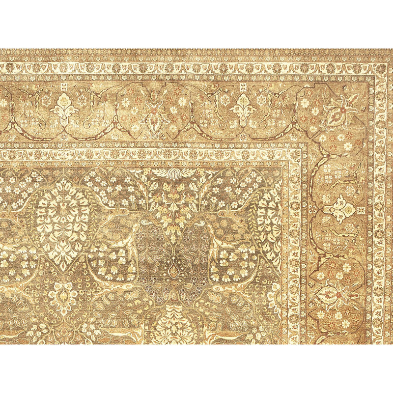 Wool Oriental Area Rug in Gold