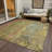 Machine Washable Indoor/Outdoor Kaczor ACN2236 Abstract Rug-86730852
