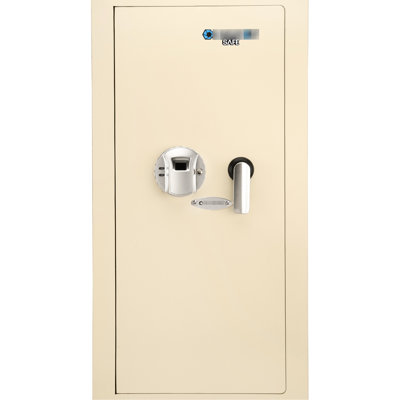 Coffre-fort de 0,82 pi³ beige - intérieur pratique avec compartiment verrouillable et trous de montage pré-percés à DEL pour installation facile