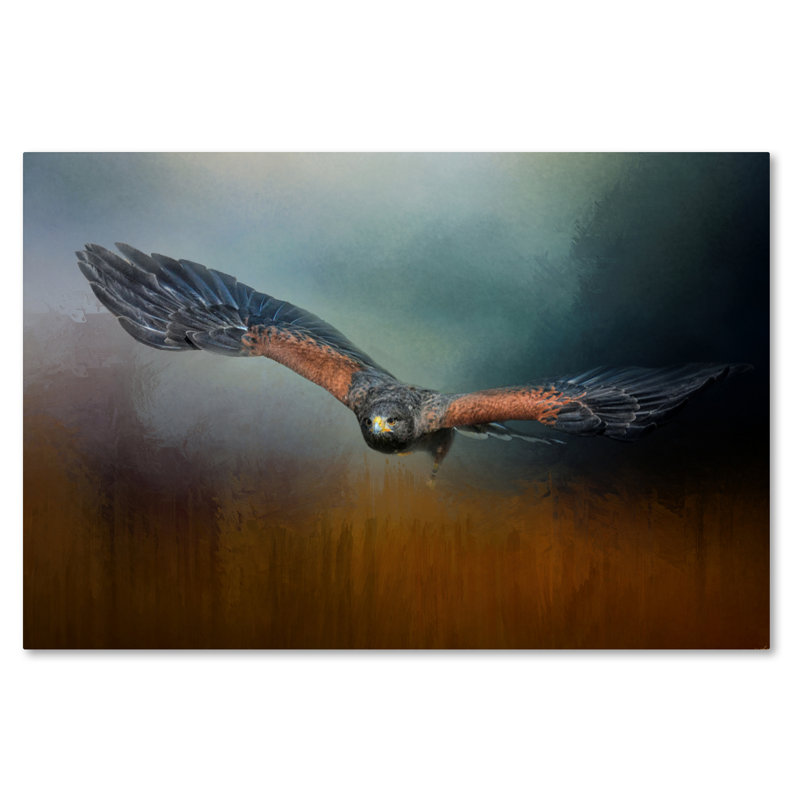 «Flight of the Harris Hawk» de Vidur, impression sur toile tendue, 16 po x 24 po
