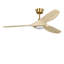 Ventilateur de plafond intelligent Selen-743981901-743981889-743981902