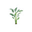 Ankitha Faux Bird of Paradise Plant-318016954