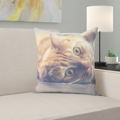 Coussin pour chat