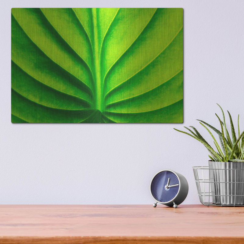 «Green Design 2» par PhotoINC Studio