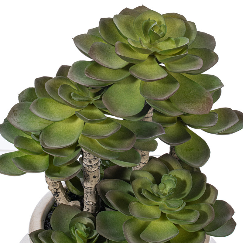 11'' Faux Succulent in Ceramic Pot