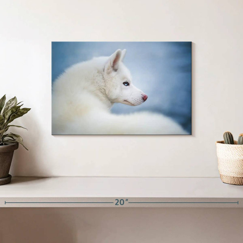 Brampt Pure White Husky, 8'' H x 12'' W